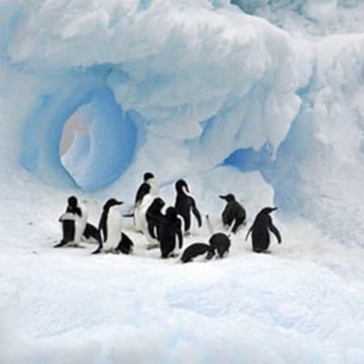 Direction l'Antarctique
