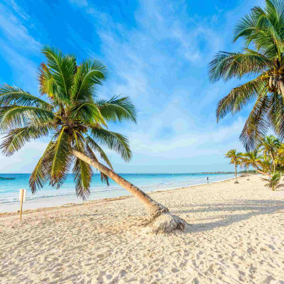 Découverte de Tulum en liberté