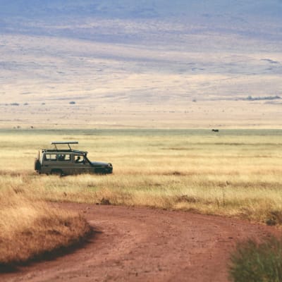 Cratère du Ngorongoro à Arusha