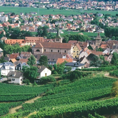 Mercredi 30 décembre: Turckheim
