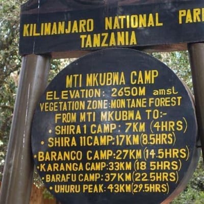 Big Tree Camp (2780 m) – Shira Camp 2 (3900 m)