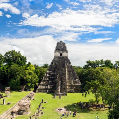 Tikal : joyau du monde maya