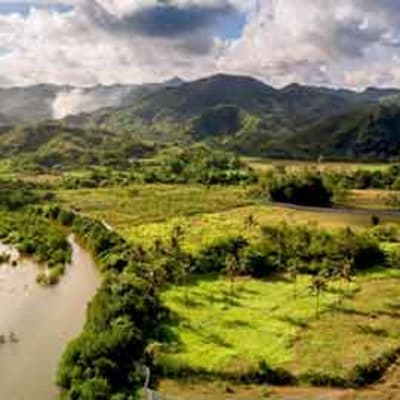 Rencontres locales au milieu des rizières