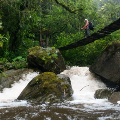 Vallée de Cocora et Filandia