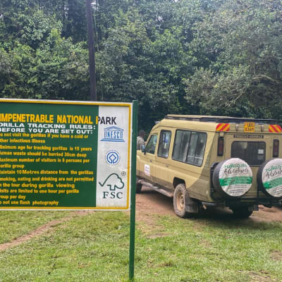 Transfert au parc national impénétrable de Bwindi sur un vol intérieur