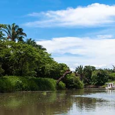 Sarapiqui