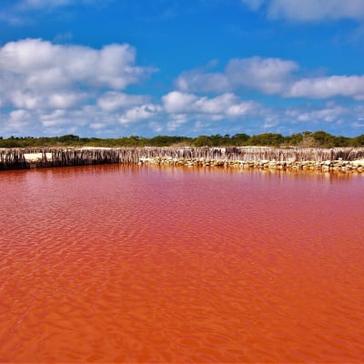Jour 3 - RIO LAGARTOS ET LAS COLORADAS