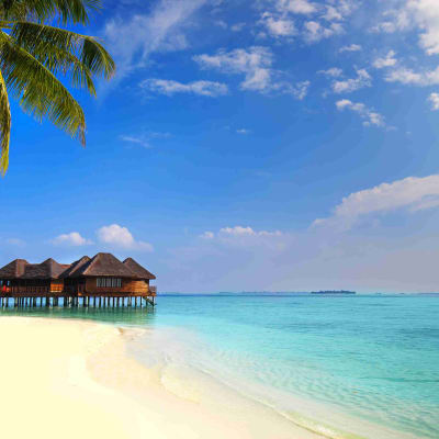 Départ de Papeete ( TAHITI ) le Samedi ou Jeudi