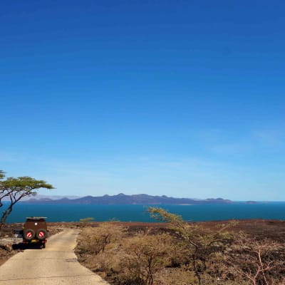 Journée au parc national de Tarangire