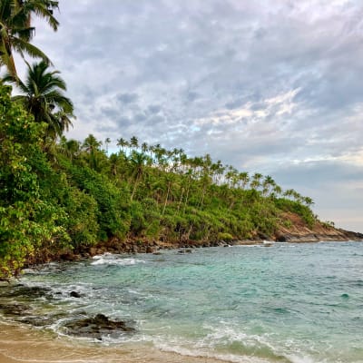 Galle - Mirissa (1h30 de route)