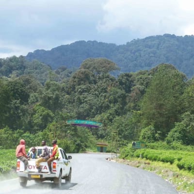 Transfert au parc national de Nyungwe