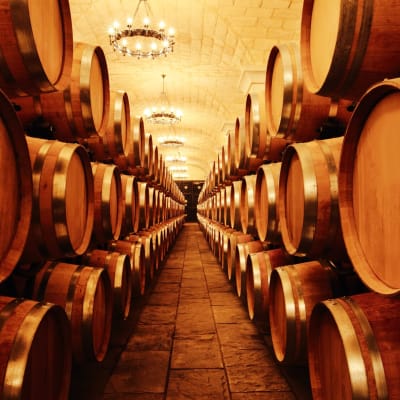 Les vins de Bordeaux