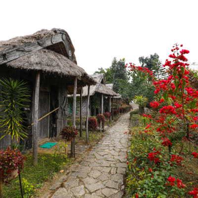 Delhi - Dibrugarh par vol