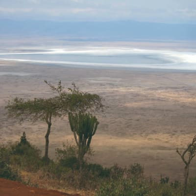 Du Serengeti aux hauts plateaux du Ngorongoro