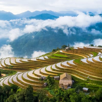 Jour 3: Bac Ha - Hoang Su Phi : 120km