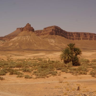Taroudant - Vallée du Drâa