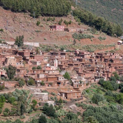 Marrakech  -- Tizi Oussem (1,850m)