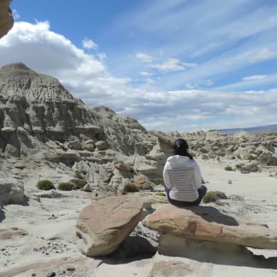 El Calafate - CHILI - Puerto Natales