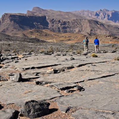 Muscat  Nakhal-Wadi Bani Auf  Jabal Shams 270 Km