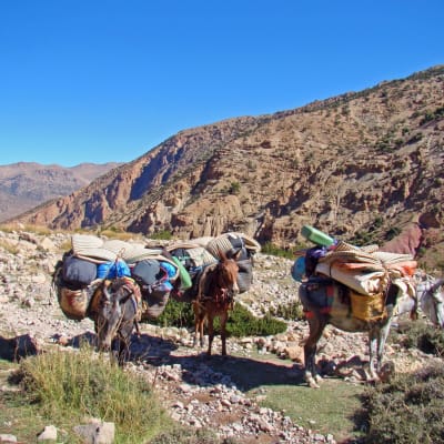 Tizi Oussem -- Aglzim (2,800m)