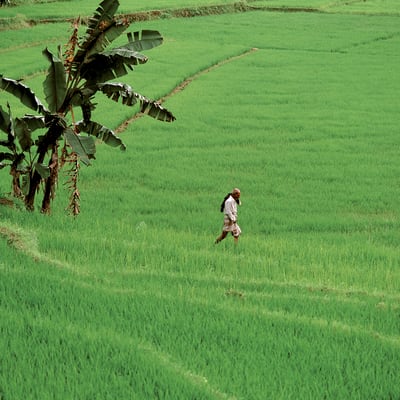 Kandy - Passikudah