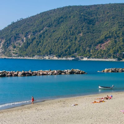 Moneglia