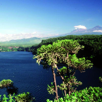 Meru National Park