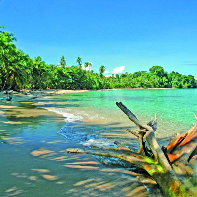 San Jose et Puerto Viejo de Talamanca