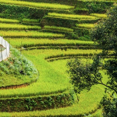 Hanoi - Trek - Mai Chau