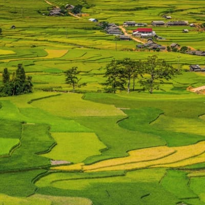 Mu Cang Chai- Découverte des rizières en terrasse
