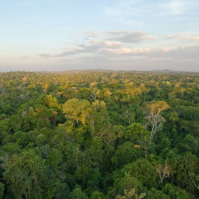 Départ vers l'Amazonie