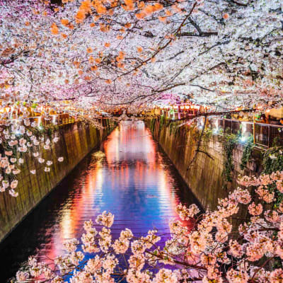 Arrivée à Tokyo
