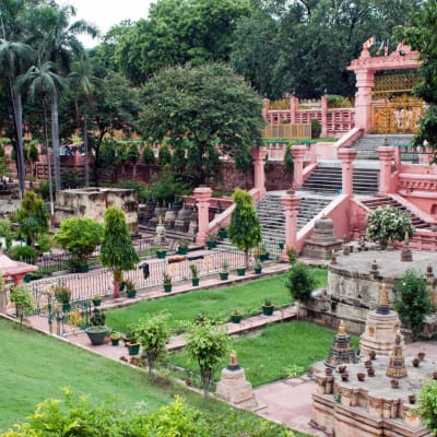 La réserve nationale de Ranthambore