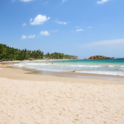 Arrivée (Negombo)