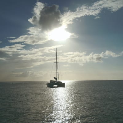 Journée Catamaran