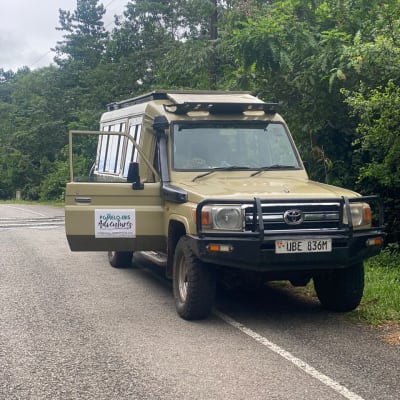Transfert au parc national de Kibale pour les chimpanzés