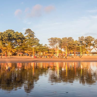 Accueil et transfert à l'hôtel - Nuit près de Canggu
