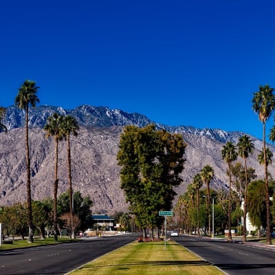 Palm Springs