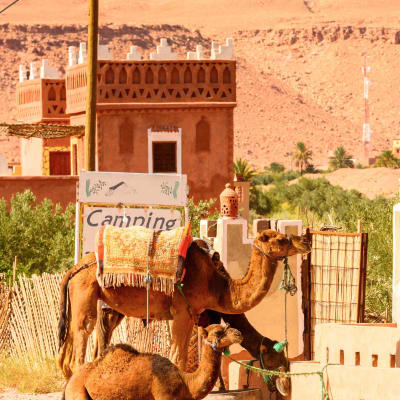 Marrakech --- col de Tichka ----Ouarzazate ---Vallée des roses.