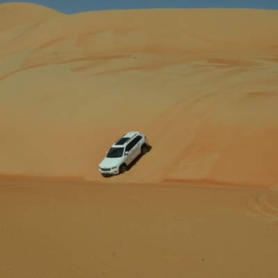 Expédition dans le désert de Dubaï : Safari en 4x4 avec dîner au barbecue