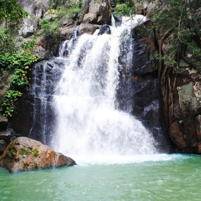 Bhubaneswar – Daringbadi (255 km / 5h30)