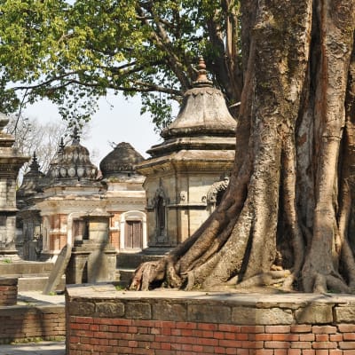 Katmandou à Patan à Pashupatinath à Boudhanath à Nagarkot