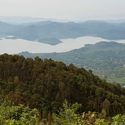 Trekking des gorilles et visite des lacs jumeaux de Burela et Ruhondo