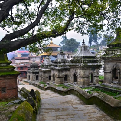 Visite des temples sacrés (Katmandou)