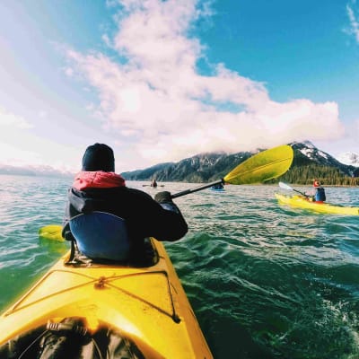 Kayak