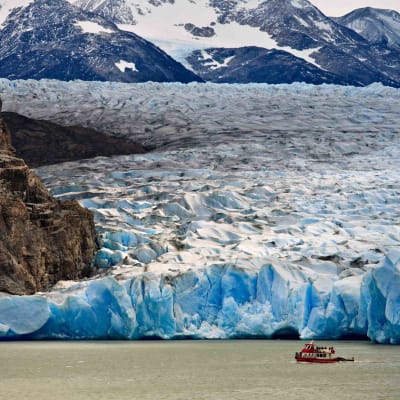 Navigation au Glacier Grey - Retour à Punta Arenas