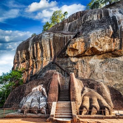 Dambulla - Sigiriya - Dambulla