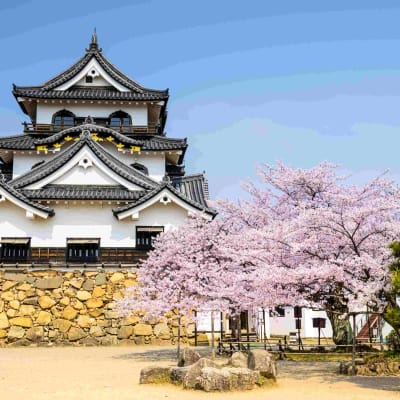 De Koyasan à Nara