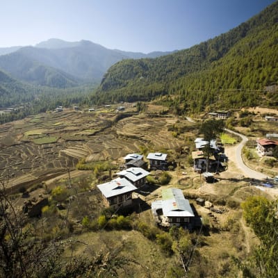 Paro - Excursion à Taktsang (Nid du Tigre)