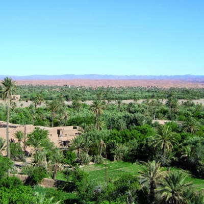 Skoura - Tineghir